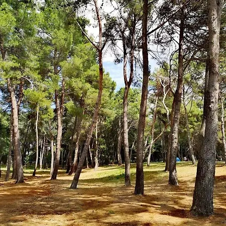 Augustina Comfortable Porec